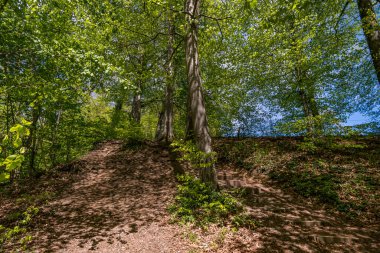 Markdorf yakınlarındaki Gehrenberg 'de Constance Gölü' ndeki yürüyüş parkurunun muhteşem manzarası.