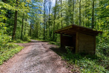Markdorf yakınlarındaki Gehrenberg 'de Constance Gölü' ndeki yürüyüş parkurunun muhteşem manzarası.