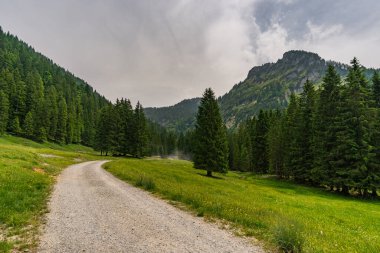 Avusturya Vorarlberg yakınlarındaki Schoenenbach yakınlarında güzel dairesel yürüyüş yolu.
