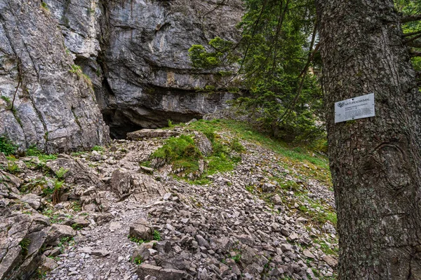 Mighty Rock Halls Schneckenloch Karst Cave Schoenenbach Vorarlberg Austria — Stock Photo, Image