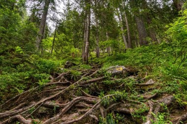 Avusturya, Vorarlberg 'deki Schoenenbach yakınlarındaki Schneckenloch karst mağarasının heybetli kaya salonları.