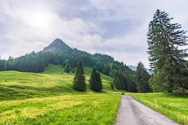 Hermosa Ruta Senderismo Circular Cerca Schoenenbach Vorarlberg Austria — Foto de Stock