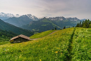 Avusturya 'nın Vorarlberg kentindeki Damuels Faschina yakınlarında Blasenka ve Seewaldsee' de güzel bir dağ yürüyüşü.