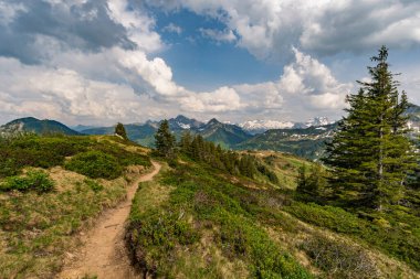 Avusturya 'nın Vorarlberg kentindeki Hochblanken sırtı boyunca Damuels yakınlarında güzel bir dağ yürüyüşü.