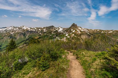 Avusturya 'nın Vorarlberg kentindeki Hochblanken sırtı boyunca Damuels yakınlarında güzel bir dağ yürüyüşü.