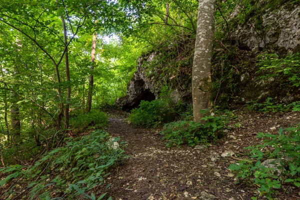 Randonnée Excitante Dans Les Grottes Autour Veringenstadt Dans Parc Naturel — Photo
