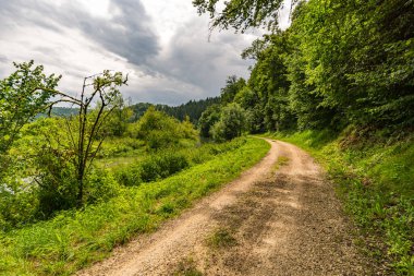 Obere Donau Doğa Parkı 'ndaki Laucherttal Doğa Koruma Alanı' nda harika bir yürüyüş.