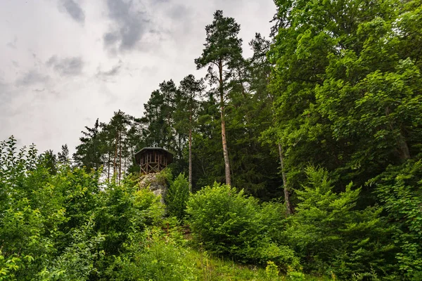 Wunderschöne Wanderung Durch Das Naturschutzgebiet Laucherttal Naturpark Obere Donau — Stockfoto