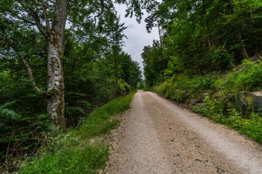Obere Donau Doğa Parkı 'ndaki Laucherttal Doğa Koruma Alanı' nda harika bir yürüyüş.