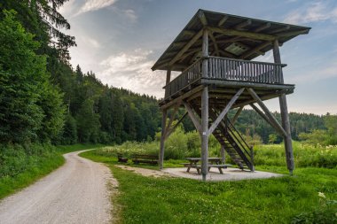 Obere Donau Doğa Parkı 'ndaki Laucherttal Doğa Koruma Alanı' nda harika bir yürüyüş.