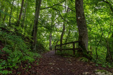 Bittelschiesser Vadisi 'nde bir sürü mağara ve Sigmaringen yakınlarındaki Laucherttal' daki tarihi Hornstein şatosu kalıntılarıyla yürüyüş yapmak.