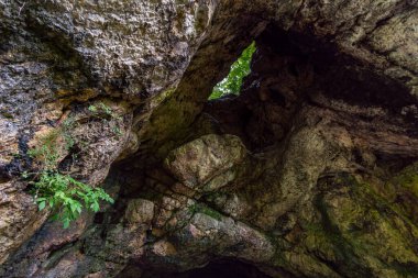 Bittelschiesser Vadisi 'nde bir sürü mağara ve Sigmaringen yakınlarındaki Laucherttal' daki tarihi Hornstein şatosu kalıntılarıyla yürüyüş yapmak.