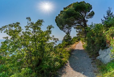 Sentiero Rilke boyunca sakin bir sahil yürüyüşü. İtalya 'daki Trieste Körfezi' nin panoramik manzarasıyla yemyeşil bir alanda dolambaçlı bir yol.
