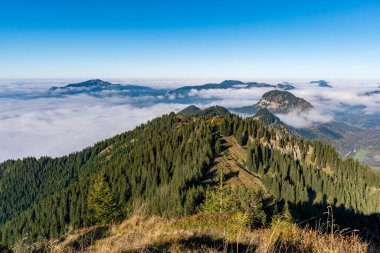 Allgaeu Alpleri 'ndeki bulutlarla benekli gökyüzünün altındaki dingin vadilerle yeşil ormanlarda ve tepelerde gezinirken sonbaharın nefes kesici güzelliğini tecrübe edin.