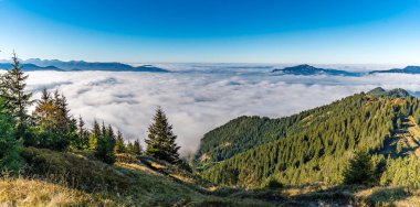 Aşağıdaki yoğun sisli vadilerin panoramik manzarasıyla yemyeşil ormanlarda ve yuvarlanan tepelerde sakin bir sonbahar yürüyüşü yakalayın. Berrak mavi gökyüzü Allgaeu Alpleri 'ndeki sakin güzelliği artırıyor.