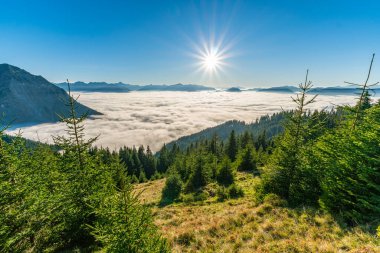 Allgaeu Yüksek Alpleri 'nde sakin bir sonbahar yürüyüşünün güzelliğini yakalıyorum. Görkemli zirveler ve Oberstdorf yakınlarında altın güneş ışığı altında bir bulut denizi.