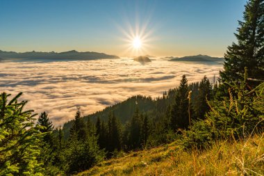 Hinang yakınlarındaki bir yürüyüş sırasında Allgaeu Alplerinde yemyeşil yemyeşil ortamda yoğun bulutlar ve canlı güneş ışığı gösteren nefes kesici bir sonbahar sahnesi çekildi.