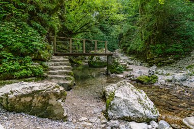 Serene orman yolu, yemyeşil ve yosunlu kayaların çerçevelediği sakin bir derenin yanında esiyor. Slovenya Triglav Ulusal Parkı 'ndaki Kozjak şelalesinde huzur dolu bir yalnızlık ve doğanın güzelliğini çağrıştırıyor.