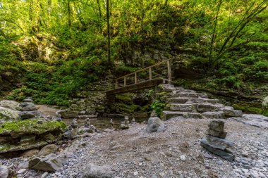 Serene orman yolu, Slovenya 'nın nefes kesen doğasında sükunet ve macera uyandıran, yarı mağarada saklı sisli bir şelaleye götürür.