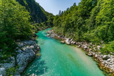 Slovenya 'nın Triglav Ulusal Parkı' ndaki yeşil bir mağarada nefes kesen şelale şelaleleri, benekli güneş ışığıyla yıkanmış ve sakin Alp güzellikleriyle çevrili.