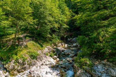 Slovenya 'nın Triglav Ulusal Parkı' nda sakin bir yürüyüş, canlı bir ormanı ve çağlayan suları ortaya çıkararak barış ve doğal mucizeyi anımsattı.
