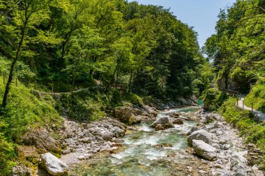 Akan sular boyunca sakin bir yürüyüş Tolmin Geçitleri 'nin ham güzelliğini gözler önüne seriyor. Canlı yeşil çerçeveler çağlayan akarsular ve parlak gün ışığı altında engebeli kayalar.