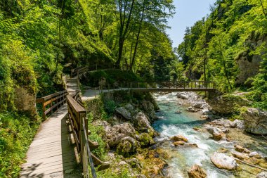 Sakin, ahşap bir köprü, yemyeşil yemyeşil ortamda, Slovenya 'da nefes kesen Tolmin Geçidi' nde barış ve macera çağrıştıran, akan bir nehri aşan yürüyüşçülere yol gösteriyor.