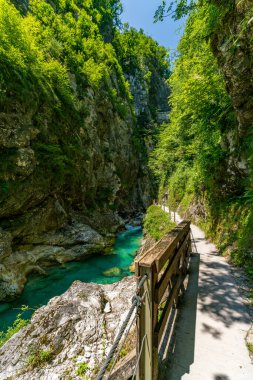 Tahta köprü boyunca sakin bir yürüyüş, Tolmin Geçidi 'nin canlı yeşillik ve pırıl pırıl turkuaz sularıyla huzur ve macerayı çağrıştıran manzarasını gözler önüne serer.