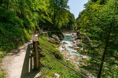 Bereketli yeşillik ve kayalık bankalar tarafından çerçevelenmiş, Slovenya 'nın el değmemiş el değmemiş çöllerinde barış ve macera çağrıştıran, sakin, ahşap bir köprü, dağlık bir dere boyunca yürüyüşçülere rehberlik ediyor.