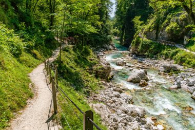 Yeşillik içinde huzurlu bir yürüyüş, Slovenya 'da nefes kesici Triglav Milli Parkı' nda sükunet ve macera çağrıştıran antik kayaları oyan akan bir nehri gözler önüne serdi.