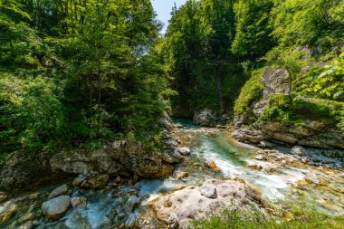Kristal berraklığında sular, Slovenya 'daki engebeli kayalıklarda çağlayarak el değmemiş Tolmin Geçitleri' nde dinginlik ve el değmemiş doğal güzelliği gün ışığı altında anımsatıyor.