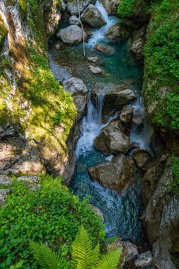 Sakin bir şelale, Sloven vahşi geçitlerinde barış ve doğal güzellikleri çağrıştıran canlı yeşilliklerle çevrili yosunlu kayaların üzerinde zarifçe akıyor.