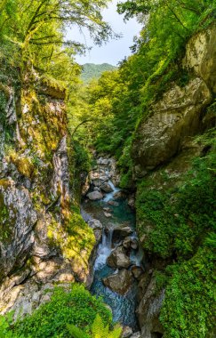 Slovenya Triglav Ulusal Parkı 'nda nefes kesici bir yürüyüş, şelaleler, engebeli uçurumlar ve yumuşak doğal ışık altında canlı yeşillikler yakalıyor. Huzur ve macera çağrıştırıyor.