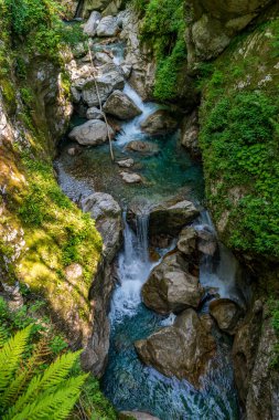 Sakin bir şelale engebeli kanyon duvarlarından zarif bir şekilde akıyor, Slovenya 'nın el değmemiş el değmemiş doğal güzelliklerini ve sükunetini çağrıştırıyor.