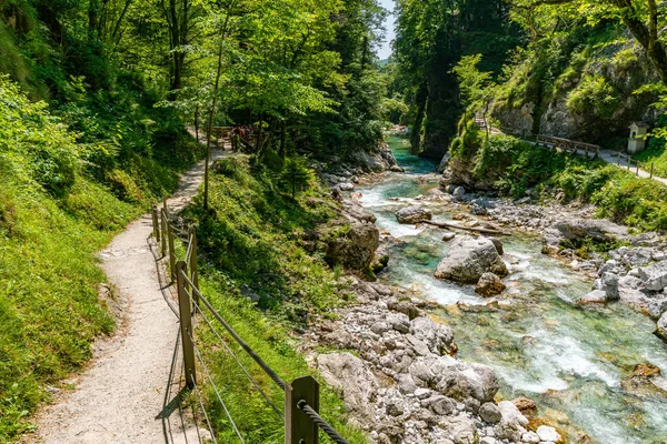 Yeşillik içinde huzurlu bir yürüyüş, Slovenya 'da nefes kesici Triglav Milli Parkı' nda sükunet ve macera çağrıştıran antik kayaları oyan akan bir nehri gözler önüne serdi.
