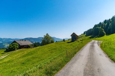 Sakin kırsal bir yol, temiz gökyüzü altında kırsal çiftlik evleri ve sık ormanlar tarafından çerçevelenmiş, Vorarlbergs dağlarında barış ve doğal güzelliği çağrıştıran yemyeşil tepeler boyunca esiyor.