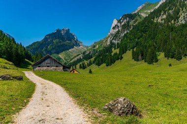 İsviçre Alpleri 'ndeki Appenzell yakınlarında açık gökyüzü altında barış ve macera çağrıştıran, nefes kesici Alpstein Dağları' na doğru bereketli yeşil çayırlar boyunca uzanan sakin bir toprak yol.