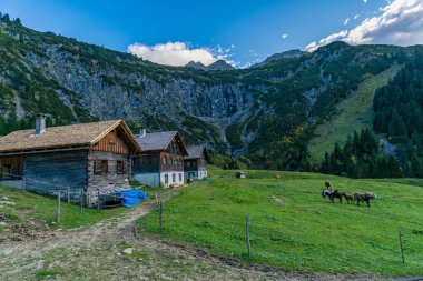 Huzurlu bir dağ manzarasında, yemyeşil otlaklarla çevrili büyüleyici bir dağ evi, özgürce otlayan atlar ve berrak gökyüzünün altında sakin ve doğal güzellikleri anımsatan görkemli uçurumlar sergileniyor.