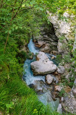 Sakin bir dağ deresi, Slovenya 'nın nefes kesici Soca Vadisi' nde huzur ve el değmemiş vahşi doğayı çağrıştıran yosunlu kayaların üzerinden zarifçe akıyor.