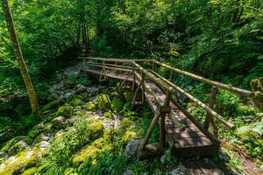 Sakin bir ahşap köprü yosun kaplı bir nehir kıyısını kaplayarak, yürüyüşçüleri Triglav Ulusal Parkı 'ndaki Sunik Şelaleleri' nin canlı yeşil ve dingin atmosferini keşfetmeye davet ediyor.