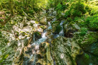 Huzurlu bir şelale, canlı bir ormanda yosun kaplı kayaların üzerinden zarif bir şekilde akar. Huzuru ve benekli güneş ışığı altındaki doğal mucizeyi çağrıştırır.