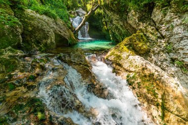 Parlak bir şelale, Slovenya 'nın el değmemiş el değmemiş çöllerinde dinginlik ve macera uyandıran yosunlu kayalıklarda zarifçe akıyor.