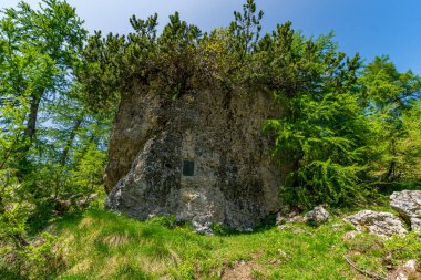 Huzurlu bir dağ sığınağı, berrak gökyüzü altında gizem ve zamansızlığı çağrıştıran canlı ormanlarla çevrili yıpranmış bir taş yapıyı sergiliyor.