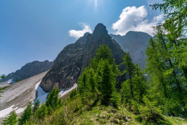 Nefes kesici bir alp manzarası Slemenova Spica 'nın engebeli ihtişamını yakalıyor. Taze güneş ışığıyla yıkanmış, Triglav Ulusal Parkları' nda dinginlik ve macera çağrıştırıyor.