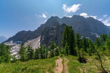 Sakin bir yürüyüş yolu, gür yeşilliklerin arasından yükselen zirvelere doğru esiyor, açık gökyüzü altındaki Slovenya Triglav Ulusal Parkı 'nın el değmemiş güzelliğini yakalıyor.