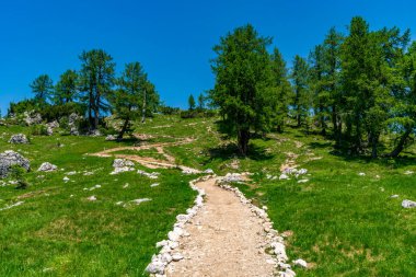Sakin bir yürüyüş yolu, berrak gökyüzünün altındaki canlı çayırlar ve antik ağaçların arasından zarif bir şekilde esiyor. Slovenya 'da barış ve macera çağrıştırıyor. Soca Vadisi' nde nefes kesici.