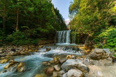 Sakin bir dağ şelalesi, canlı yeşillikler arasında zarif bir şekilde akıyor. Slovenya 'nın el değmemiş el değmemiş çöllerinde huzur ve doğal güzellikleri çağrıştırıyor.