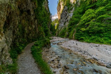 Yeşil kayalıklarda sakin bir yürüyüş, Slovenya 'nın el değmemiş doğasında macera ve barışçıl keşifleri çağrıştıran pırıl pırıl bir nehri gözler önüne seriyor.
