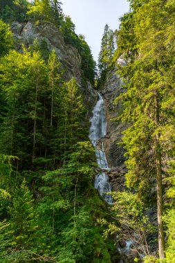 Sakin bir dağ şelalesi, Slovenya 'nın el değmemiş el değmemiş çöllerinde huzuru ve doğal güzelliği çağrıştıran sık ve yeşil ormanlarda zarifçe dalıyor.