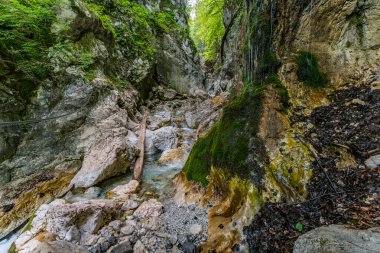 Ferrata yolculuğuyla Martuljek Vadisi 'ne yapılan nefes kesici bir yolculukta engebeli uçurumlar, çağlayan şelaleler ve yemyeşil alanlar, Slovenya' nın el değmemiş Triglav Milli Parkı 'nda macera ve sükunet çağrıştırıyor.